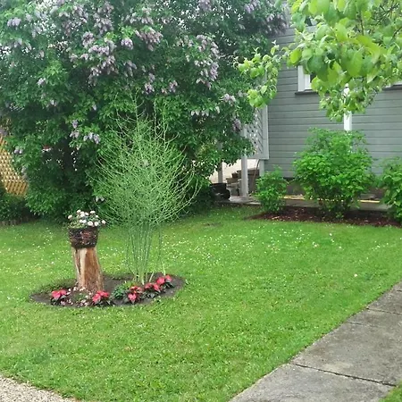 Gasthuis Haavalehe Summer House 3*